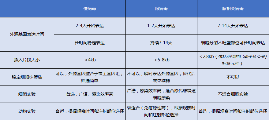 病毒包装和转染.png